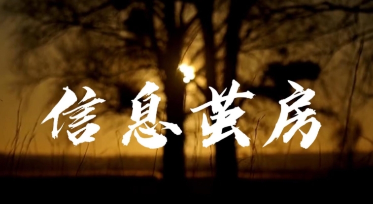 AI辅助网